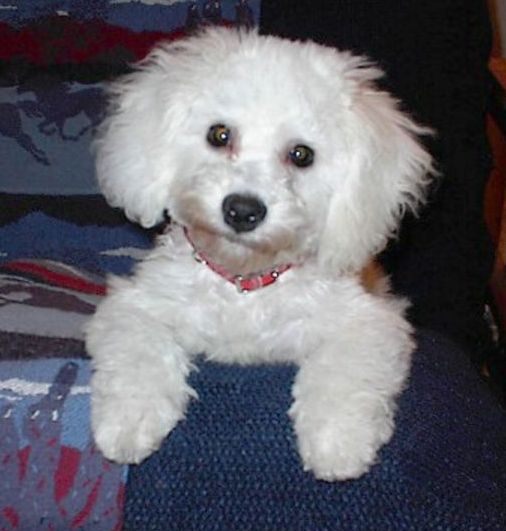 Annie